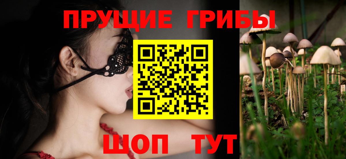 Галлюциногенные грибы MAGIC MUSHROOMS  Вход с VPN  Каменка 